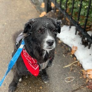 Meet your Posher, Kyle